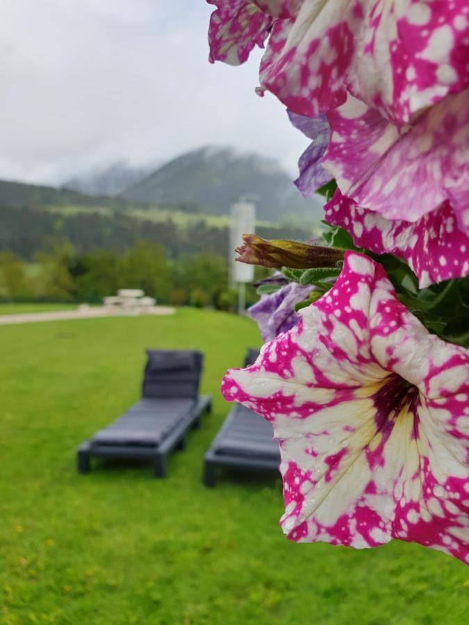Vive Diem Haus im Ennstal Exterior foto